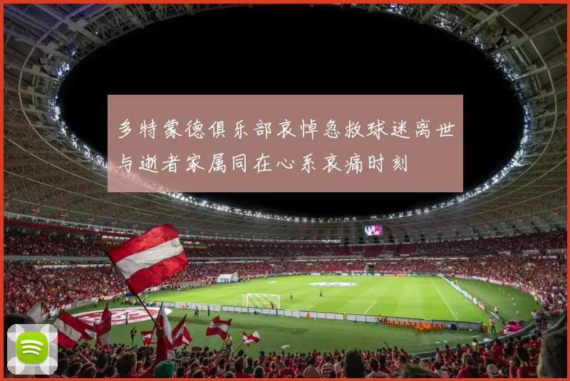 多特蒙德俱乐部哀悼急救球迷离世与逝者家属同在心系哀痛时刻
